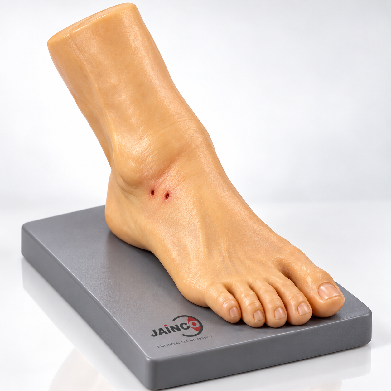 Snake Bite by Viper Model